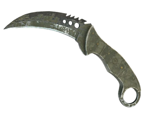 ★ StatTrak™ Talon Knife | Safari Mesh (Battle-Scarred)