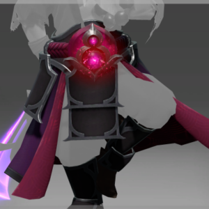 Autographed Hidden Vector - Belt