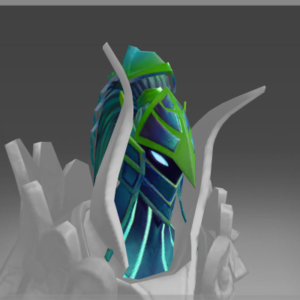 Autographed Hood of Diviner's Embrace