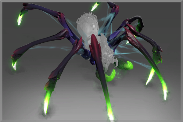 Autographed Limbs of Lycosidae