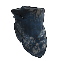 Blue Bandana