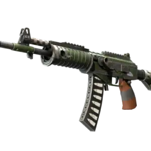 Galil AR | Vandal (Minimal Wear)