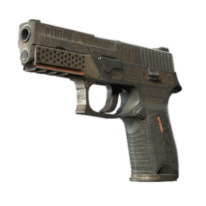 P250 | Bullfrog (Battle-Scarred)