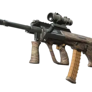 Souvenir AUG | Spalted Wood (Factory New)