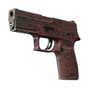 StatTrak™ P250 | Contaminant (Well-Worn)