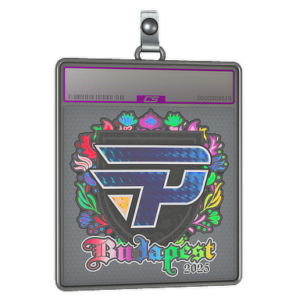 Sticker Slab | paiN Gaming (Holo) | Budapest 2025