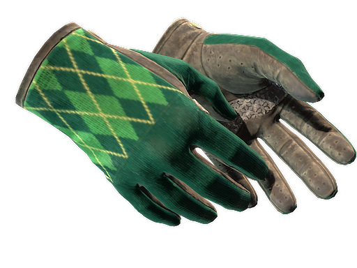 ★ Driver Gloves | Hand Sweaters (Well-Worn)