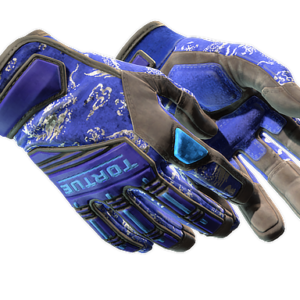★ Specialist Gloves | Cloud Chaser (Well-Worn)