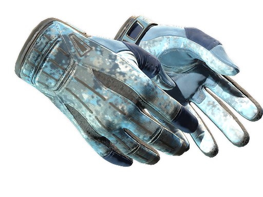 ★ Sport Gloves | Frosty (Minimal Wear)