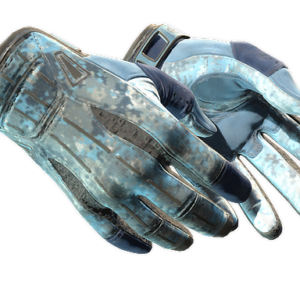 ★ Sport Gloves | Frosty (Well-Worn)