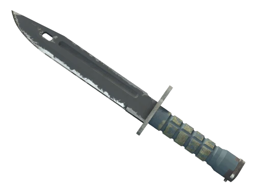 ★ StatTrak™ Bayonet | Night (Well-Worn)