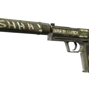 StatTrak™ USP-S | Flashback (Well-Worn)