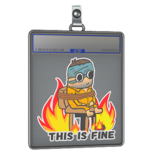Sticker Slab | This Is Fine (H)