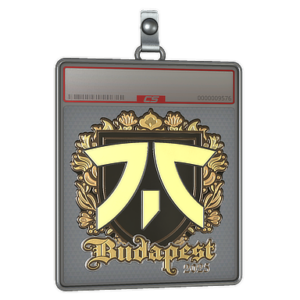 Sticker Slab | fnatic (Gold) | Budapest 2025