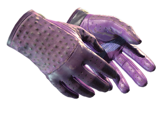 ★ Driver Gloves | Plum Quill (Field-Tested)