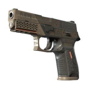 P250 | Bullfrog (Minimal Wear)