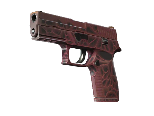 P250 | Contaminant (Minimal Wear)
