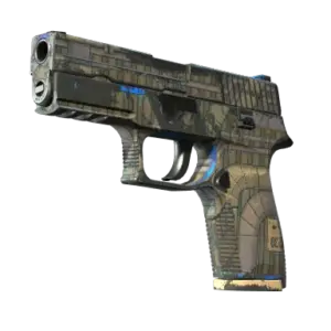 P250 | Exchanger (Well-Worn)