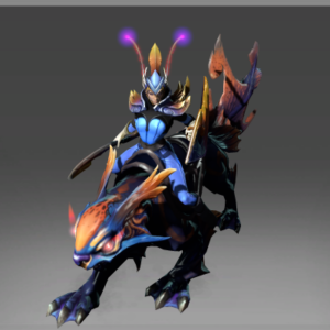 Reef Kyte Rider