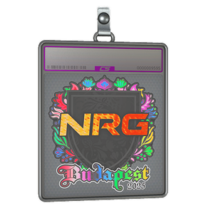 Sticker Slab | NRG (Holo) | Budapest 2025