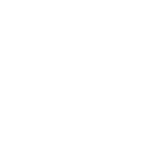 Team Spirit Team Sticker - TI 2025