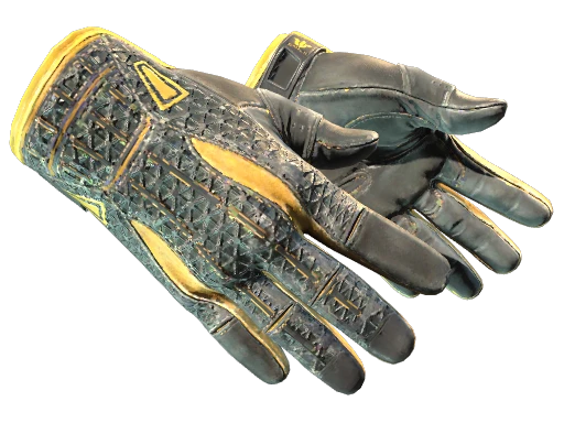 ★ Sport Gloves | Omega (Well-Worn)