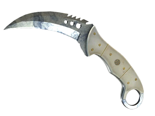 ★ StatTrak™ Talon Knife | Stained (Well-Worn)